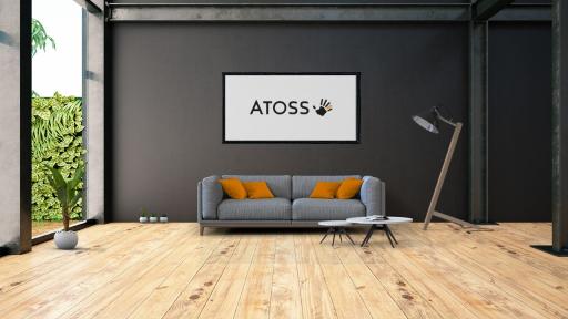 ATOSS Software